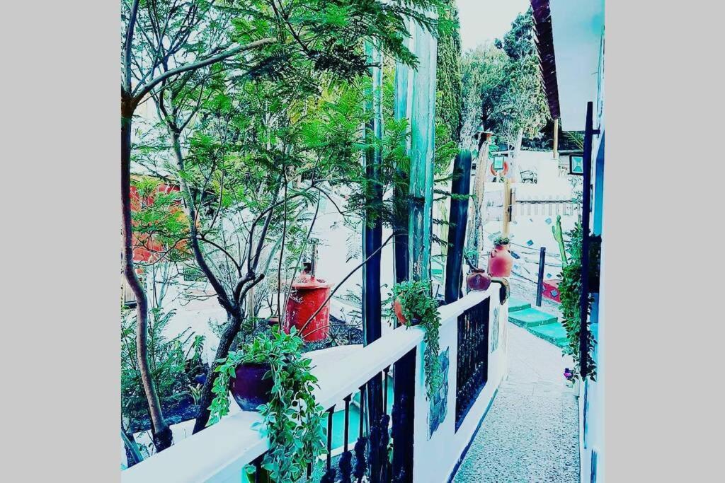 Gran Canaria La Finca De Carmelita Y Bartolito Las Palmas de Gran Canaria Dış mekan fotoğraf
